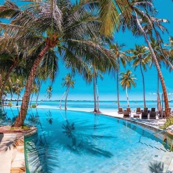 Meet your Posher, Anna - Picture 1 of 1